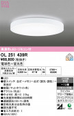 ODELIC �����ǥ�å� LED ������󥰥饤�� OL251439R