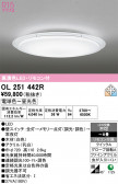 ODELIC �����ǥ�å� LED ������󥰥饤�� OL251442R