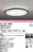 ODELIC �����ǥ�å� LED ������󥰥饤�� OL251445R