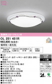 ODELIC �����ǥ�å� LED ������󥰥饤�� OL251451R