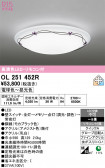 ODELIC �����ǥ�å� LED ������󥰥饤�� OL251452R