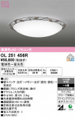 ODELIC �����ǥ�å� LED ������󥰥饤�� OL251456R