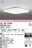 ODELIC �����ǥ�å� LED ������󥰥饤�� OL251519R