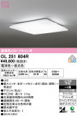 ODELIC �����ǥ�å� LED ������󥰥饤�� OL251604R