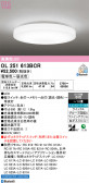 ODELIC �����ǥ�å� LED ������󥰥饤�� OL251613BCR