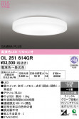 ODELIC �����ǥ�å� LED ������󥰥饤�� OL251614GR