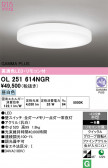 ODELIC �����ǥ�å� LED ������󥰥饤�� OL251614NGR