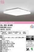ODELIC �����ǥ�å� LED ������󥰥饤�� OL251616R