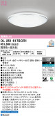 ODELIC �����ǥ�å� LED ������󥰥饤�� OL251617BCR1