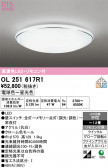 ODELIC �����ǥ�å� LED ������󥰥饤�� OL251617R1