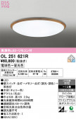 ODELIC �����ǥ�å� LED ������󥰥饤�� OL251621R