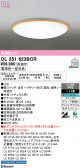 ODELIC �����ǥ�å� LED ������󥰥饤�� OL251623BCR