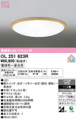 ODELIC �����ǥ�å� LED ������󥰥饤�� OL251623R