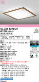 ODELIC �����ǥ�å� LED ������󥰥饤�� OL251627BCR