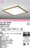 ODELIC �����ǥ�å� LED ������󥰥饤�� OL251627R