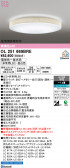 ODELIC �����ǥ�å� LED ������󥰥饤�� OL251669BRE