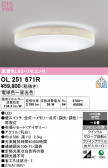 ODELIC �����ǥ�å� LED ������󥰥饤�� OL251671R