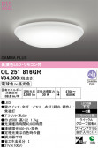 ODELIC �����ǥ�å� LED ������󥰥饤�� OL251816GR