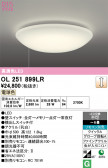 ODELIC �����ǥ�å� LED ������󥰥饤�� OL251899LR