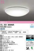 ODELIC �����ǥ�å� LED ������󥰥饤�� OL251899NR