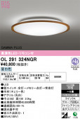 ODELIC �����ǥ�å� LED ������󥰥饤�� OL291324NGR