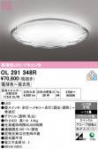 ODELIC �����ǥ�å� LED ������󥰥饤�� OL291348R