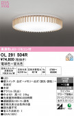 ODELIC �����ǥ�å� LED ������󥰥饤�� OL291504R