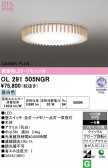 ODELIC �����ǥ�å� LED ������󥰥饤�� OL291505NGR