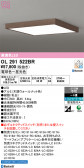 ODELIC �����ǥ�å� LED ������󥰥饤�� OL291522BR