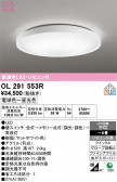 ODELIC �����ǥ�å� LED ������󥰥饤�� OL291553R