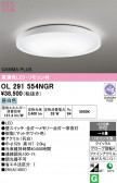 ODELIC �����ǥ�å� LED ������󥰥饤�� OL291554NGR