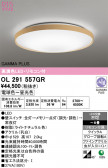 ODELIC �����ǥ�å� LED ������󥰥饤�� OL291557GR