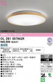 ODELIC �����ǥ�å� LED ������󥰥饤�� OL291557NGR