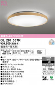 ODELIC �����ǥ�å� LED ������󥰥饤�� OL291557R