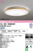 ODELIC �����ǥ�å� LED ������󥰥饤�� OL291558NGR