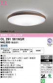 ODELIC �����ǥ�å� LED ������󥰥饤�� OL291561NGR