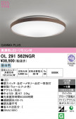 ODELIC �����ǥ�å� LED ������󥰥饤�� OL291562NGR