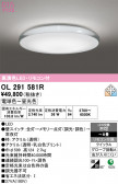 ODELIC �����ǥ�å� LED ������󥰥饤�� OL291581R