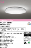 ODELIC �����ǥ�å� LED ������󥰥饤�� OL291586R