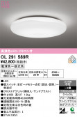 ODELIC �����ǥ�å� LED ������󥰥饤�� OL291589R