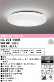ODELIC �����ǥ�å� LED ������󥰥饤�� OL291590R