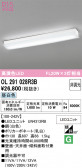 ODELIC �����ǥ�å� LED ���å���饤�� OL291028R3B