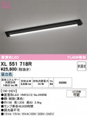 ODELIC �����ǥ�å� LED ���å���饤�� XL551718R
