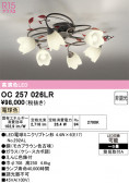 ODELIC �����ǥ�å� LED �����ǥꥢ OC257026LR
