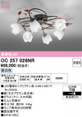 ODELIC �����ǥ�å� LED �����ǥꥢ OC257026NR