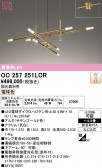 ODELIC �����ǥ�å� LED �����ǥꥢ OC257251LCR