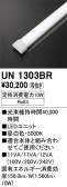 ODELIC �����ǥ�å� LED ����¾ UN1303BR