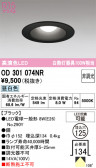 ODELIC �����ǥ�å� LED ������饤�� OD301074NR