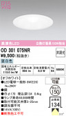 ODELIC �����ǥ�å� LED ������饤�� OD301075NR