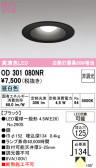 ODELIC �����ǥ�å� LED ������饤�� OD301080NR
